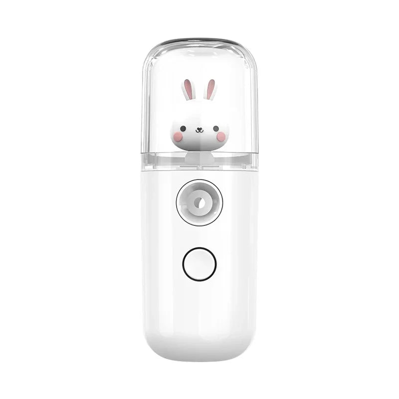 USB Mini Humidifier Facial Steamer